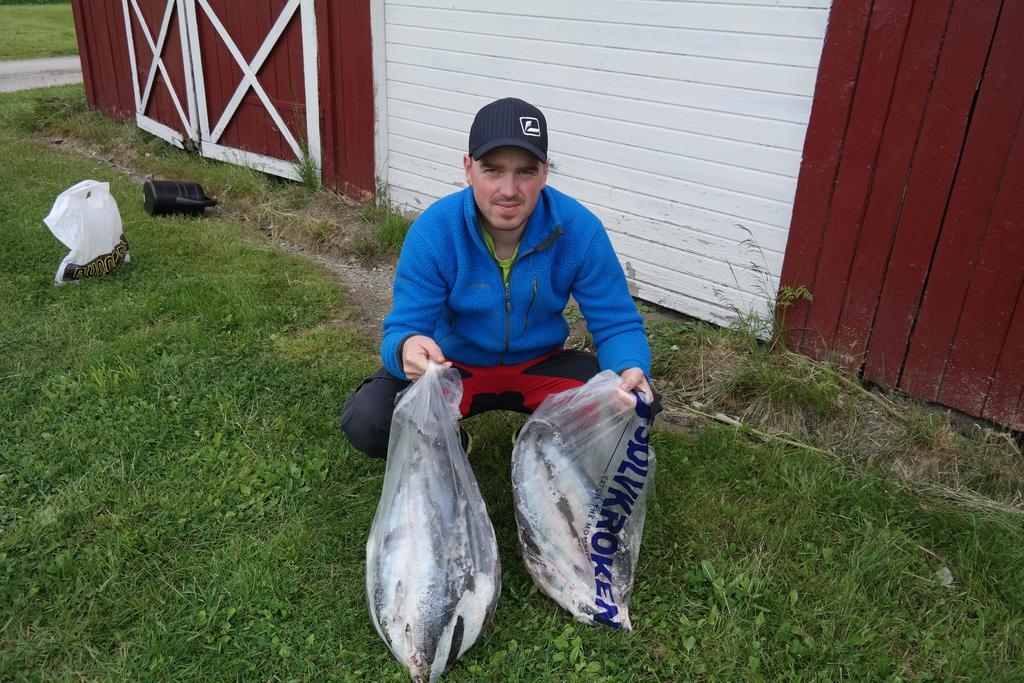 Holmset Camping And Fishing Namdalseid Esterno foto